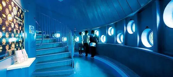 21年 白浜観光で行きたい名所 白浜旅行おすすめ人気スポット8選 一休 Com 21年 白浜観光で行きたい名所 白浜旅行おすすめ人気スポット8選 一休 Com