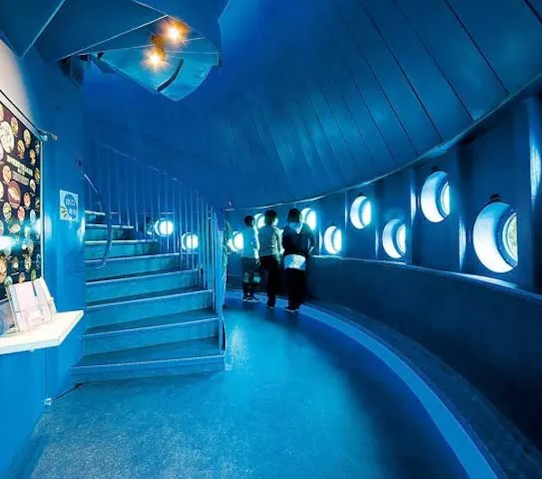 串本海中公園 和歌山 串本 すさみ 人気スポット 一休 Com 串本海中公園 和歌山 串本 すさみ 人気スポット 一休 Com