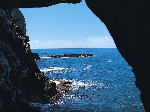 アドベンチャーワールド 和歌山 白浜 人気スポット 一休 Com