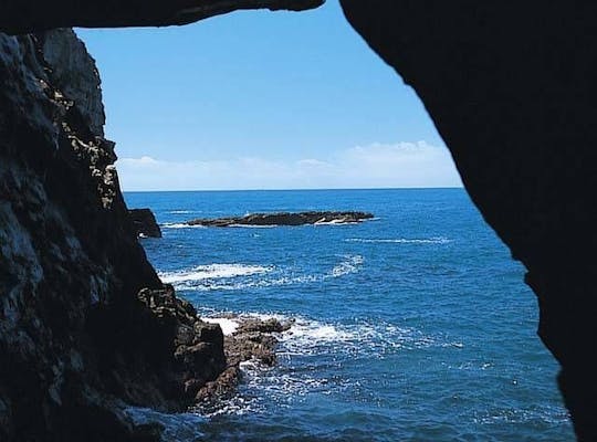 アドベンチャーワールド 和歌山 白浜 人気スポット 一休 Com アドベンチャーワールド 和歌山 白浜 人気スポット 一休 Com