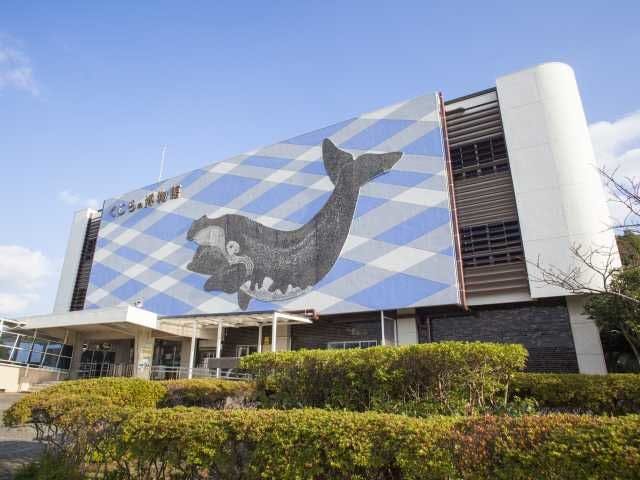 22年 勝浦 太地観光で行きたい名所 勝浦 太地旅行おすすめ人気スポット14選 一休 Com