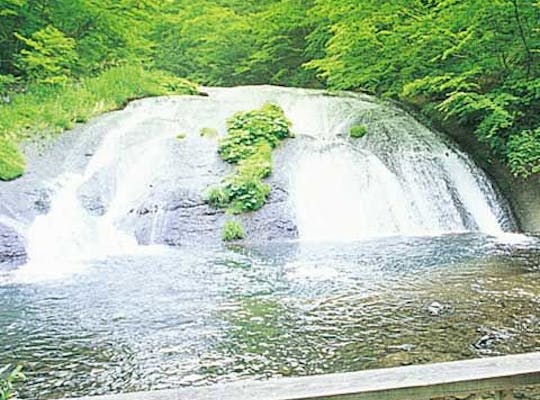 花巻広域公園 岩手 花巻 人気スポット 一休 Com 花巻広域公園 岩手 花巻 人気スポット 一休 Com