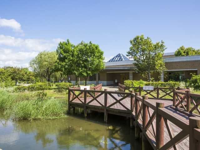 宍道湖自然館ゴビウス 島根 出雲 人気スポット 一休 Com