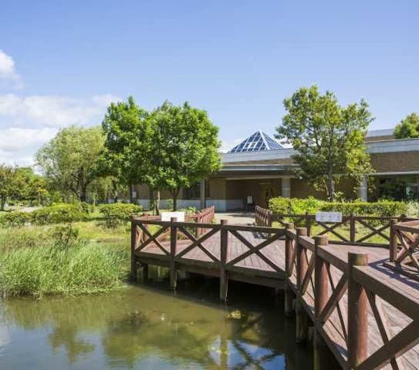 宍道湖自然館ゴビウス 島根 出雲 人気スポット 一休 Com 宍道湖自然館ゴビウス 島根 出雲 人気スポット 一休 Com