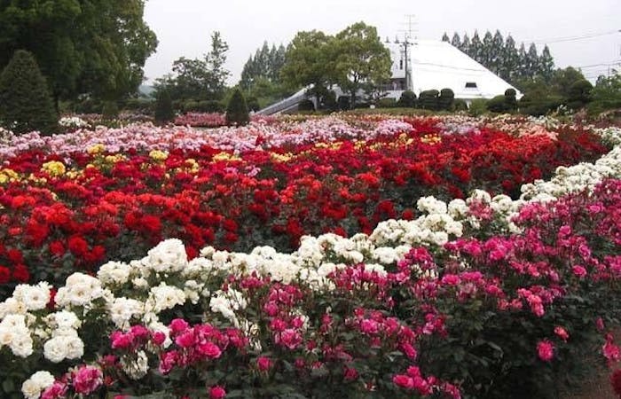 21年 岡山市観光で行きたい名所 岡山市旅行おすすめ人気スポット30選 一休 Com 21年 岡山市観光で行きたい名所 岡山市旅行おすすめ人気スポット30選 一休 Com