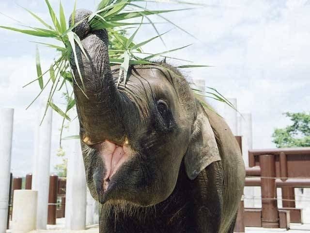 福山市立動物園 広島 福山 人気スポット 一休 Com