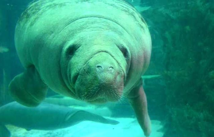 21年 高松観光で行きたい名所 高松旅行おすすめ人気スポット30選 一休 Com 21年 高松観光で行きたい名所 高松旅行おすすめ人気スポット30選 一休 Com