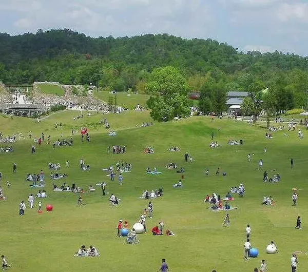 国営讃岐まんのう公園 香川 琴平 観音寺 善通寺 人気スポット 一休 Com