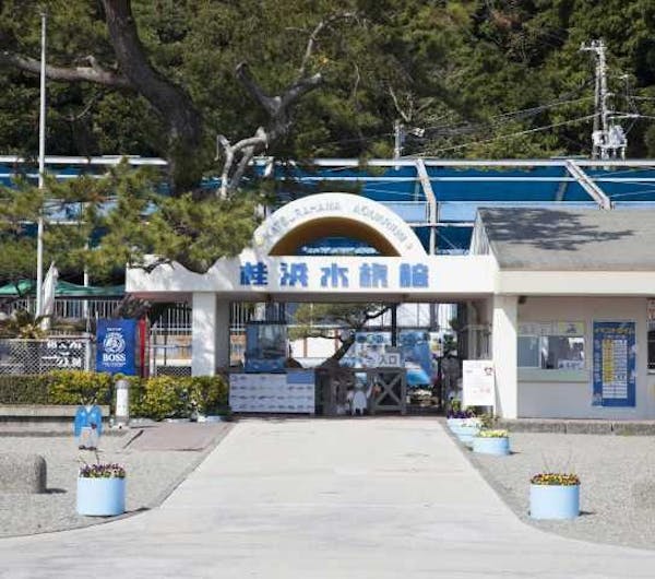 桂浜水族館 高知 高知市 人気スポット 一休 Com