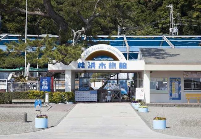 高知 観光 おすすめ 観光 おすすめ 高知