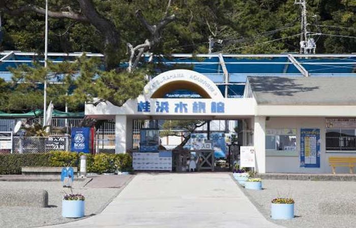 21年 高知市観光で行きたい名所 高知市旅行おすすめ人気スポット15選 一休 Com 21年 高知市観光で行きたい名所 高知市旅行おすすめ人気スポット15選 一休 Com