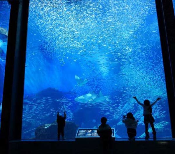 マリンワールド海の中道 福岡 志賀島 人気スポット 一休 Com マリンワールド海の中道 福岡 志賀島 人気スポット 一休 Com
