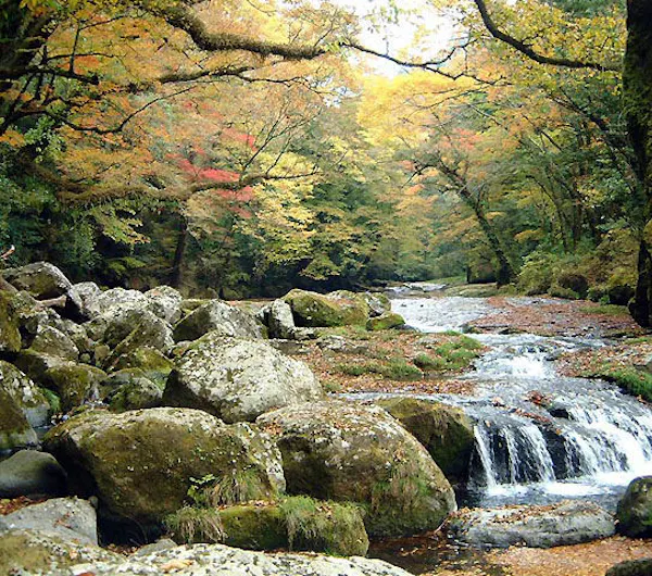 菊池渓谷 熊本 玉名 山鹿 菊池 人気スポット 一休 Com 菊池渓谷 熊本 玉名 山鹿 菊池 人気スポット 一休 Com