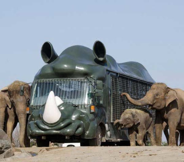九州自然動物公園アフリカンサファリ 大分 中津 国東 人気スポット 一休 Com 九州自然動物公園アフリカンサファリ 大分 中津 国東 人気スポット 一休 Com