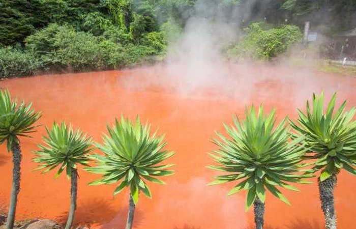 21年 別府 別府温泉観光で行きたい名所 別府 別府温泉旅行おすすめ人気スポット22選 一休 Com 21年 別府 別府温泉観光で行きたい名所 別府 別府温泉旅行おすすめ人気スポット22選 一休 Com