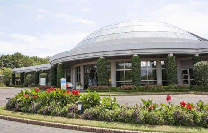 21年 宮崎市観光で行きたい名所 宮崎市旅行おすすめ人気スポット15選 一休 Com 21年 宮崎市観光で行きたい名所 宮崎市旅行おすすめ人気スポット15選 一休 Com