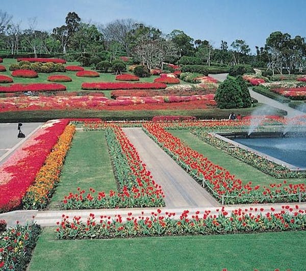 吉野公園 鹿児島 鹿児島市 人気スポット 一休 Com 吉野公園 鹿児島 鹿児島市 人気スポット 一休 Com