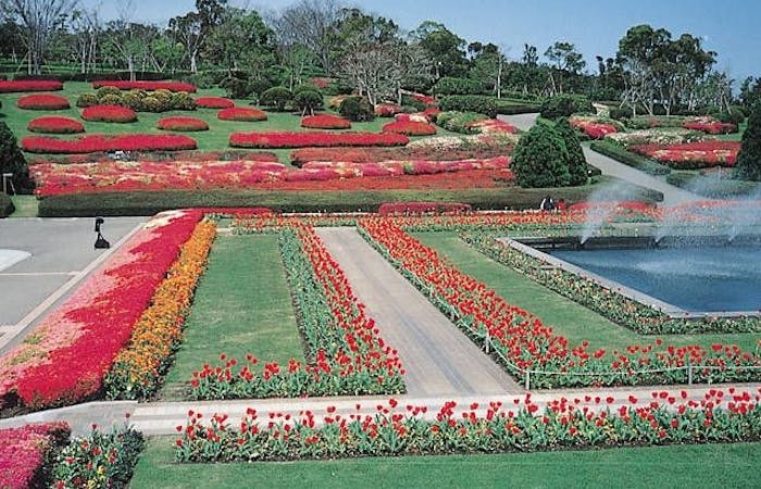 吉野公園 鹿児島 鹿児島市 人気スポット 一休 Com