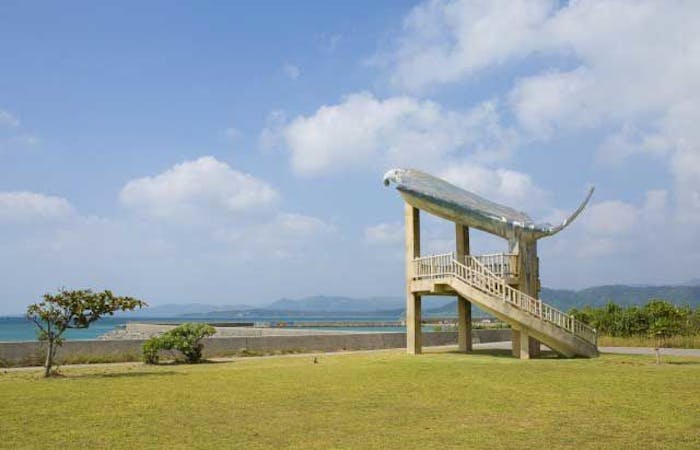 21年 小浜島観光で行きたい名所 小浜島旅行おすすめ人気スポット21選 一休 Com 21年 小浜島観光で行きたい名所 小浜島旅行おすすめ人気スポット21選 一休 Com