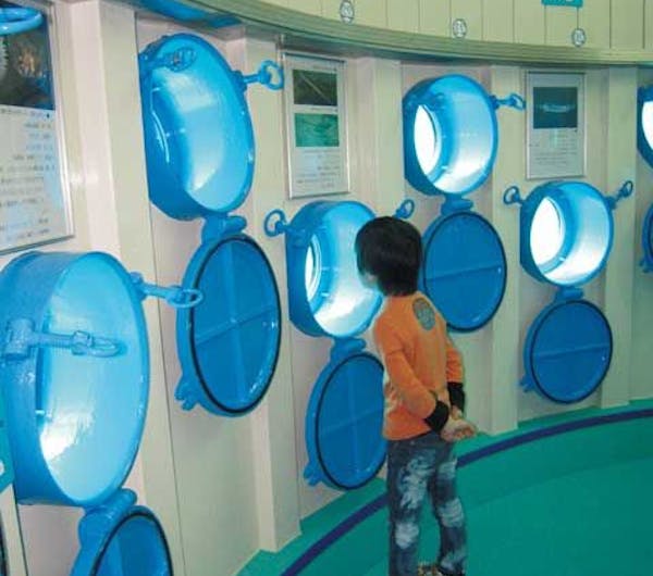 ブセナ海中公園 沖縄 本部 名護 国頭 人気スポット 一休 Com ブセナ海中公園 沖縄 本部 名護 国頭 人気スポット 一休 Com