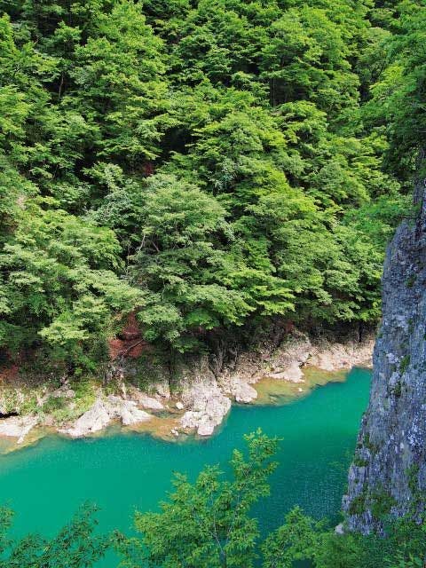 抱返り渓谷 秋田 田沢湖 人気スポット 一休 Com 抱返り渓谷 秋田 田沢湖 人気スポット 一休 Com