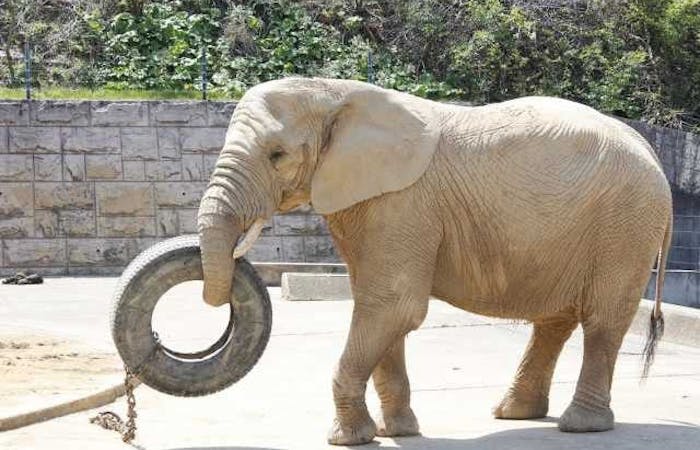 22年 秋田市観光で行きたい名所 秋田市旅行おすすめ人気スポット9選 一休 Com 22年 秋田市観光で行きたい名所 秋田市旅行おすすめ人気スポット9選 一休 Com