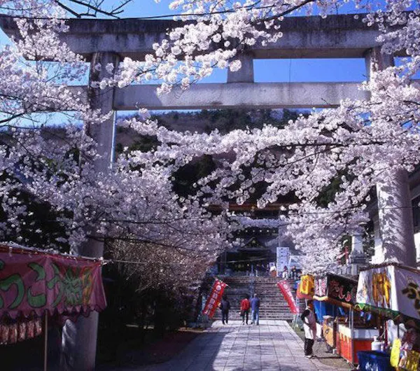 信夫山公園 福島 福島 二本松 人気スポット 一休 Com 信夫山公園 福島 福島 二本松 人気スポット 一休 Com