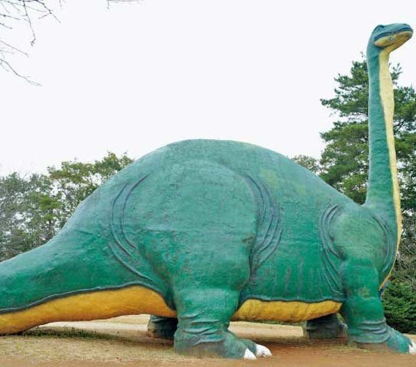 水戸市森林公園 茨城 水戸 笠間 人気スポット 一休 Com 水戸市森林公園 茨城 水戸 笠間 人気スポット 一休 Com