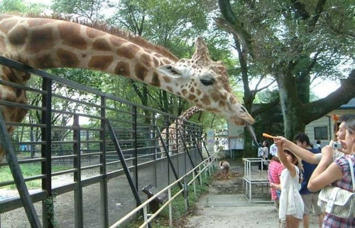 21年 宇都宮観光で行きたい名所 宇都宮旅行おすすめ人気スポット14選 一休 Com 21年 宇都宮観光で行きたい名所 宇都宮旅行おすすめ人気スポット14選 一休 Com