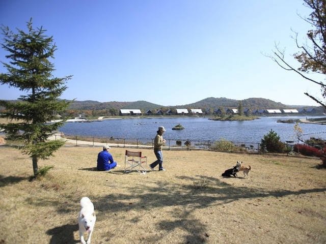 22年 東北でアウトドアを満喫 東北のおすすめ人気キャンプ場30選 一休 Com