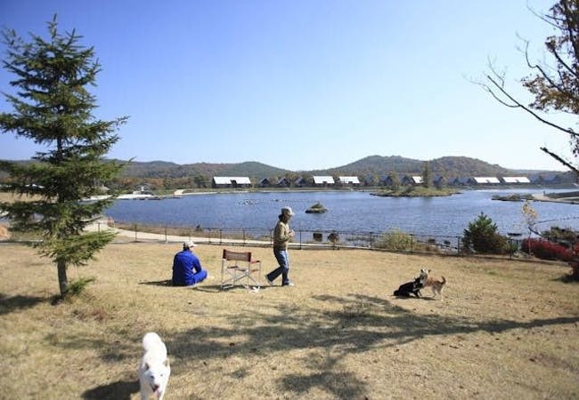 22年 東北でアウトドアを満喫 東北のおすすめ人気キャンプ場30選 一休 Com 22年 東北でアウトドアを満喫 東北のおすすめ人気キャンプ場30選 一休 Com