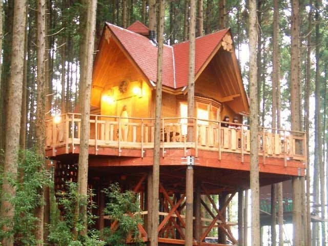 矢板 大田原 キャンプ22 矢板 大田原 充実したキャンプ場の情報が満載 おすすめ人気キャンプ場3選 一休 Com