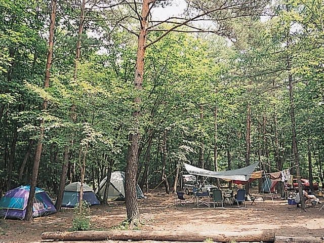 浅間高原ファミリーオートキャンプ場 群馬 四万 吾妻 川原湯 人気キャンプ場 一休 Com