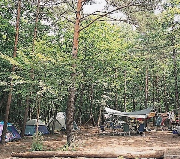 浅間高原ファミリーオートキャンプ場 群馬 四万 吾妻 川原湯 人気キャンプ場 一休 Com 浅間高原ファミリーオートキャンプ場 群馬 四万 吾妻 川原湯 人気キャンプ場 一休 Com