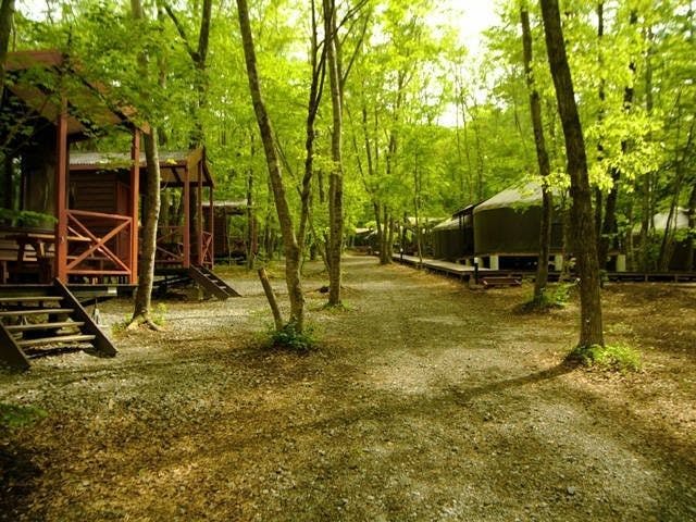 Pica富士吉田 山梨 富士吉田 人気キャンプ場 一休 Com