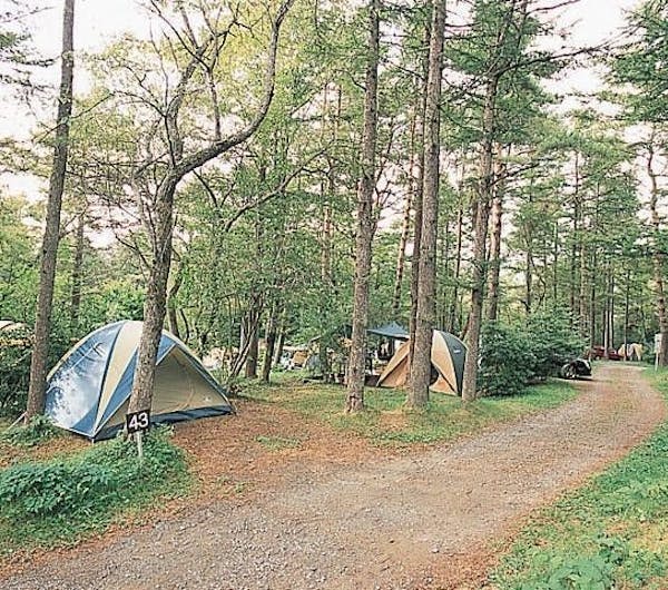 小田急山中湖フォレストコテージ 山梨 山中湖 人気キャンプ場 一休 Com 小田急山中湖フォレストコテージ 山梨 山中湖 人気キャンプ場 一休 Com