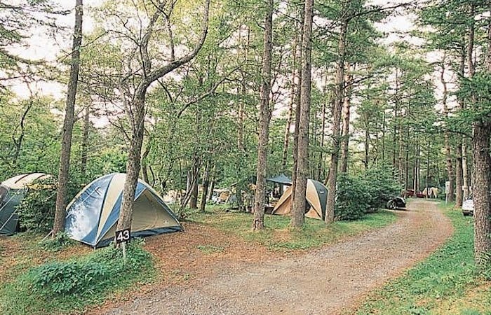 山中湖 キャンプ22 山中湖 充実したキャンプ場の情報が満載 おすすめ人気キャンプ場1選 一休 Com 山中湖 キャンプ22 山中湖 充実したキャンプ場の情報が満載 おすすめ人気キャンプ場1選 一休 Com