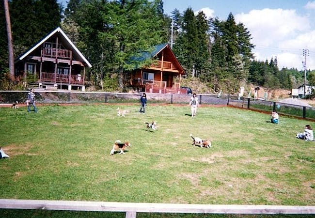 22年 岐阜でアウトドアを満喫 岐阜のおすすめ人気キャンプ場選 一休 Com 22年 岐阜でアウトドアを満喫 岐阜のおすすめ人気キャンプ場選 一休 Com