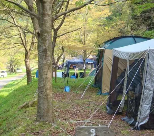 ウッディパル余呉 滋賀 長浜 人気キャンプ場 一休 Com