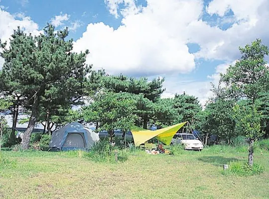 ゴンドーシャロレーキャンプ場 熊本 黒川 杖立 わいた 人気キャンプ場 一休 Com