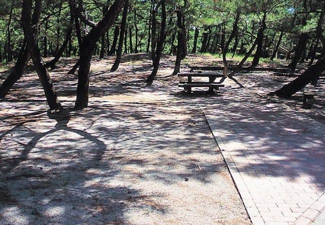 21年 鹿児島でアウトドアを満喫 鹿児島のおすすめ人気キャンプ場14選 一休 Com 21年 鹿児島でアウトドアを満喫 鹿児島のおすすめ人気キャンプ場14選 一休 Com