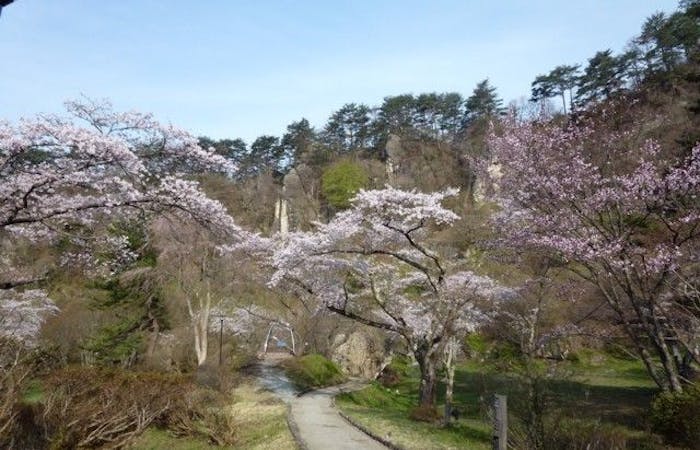 能代お花見 能代 情緒あふれる桜景色を満喫 お花見おすすめ人気スポット4選 一休 Comレストラン