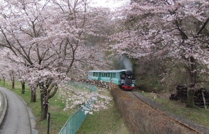 伊達お花見 伊達 情緒あふれる桜景色を満喫 お花見おすすめ人気スポット8選 一休 Comレストラン