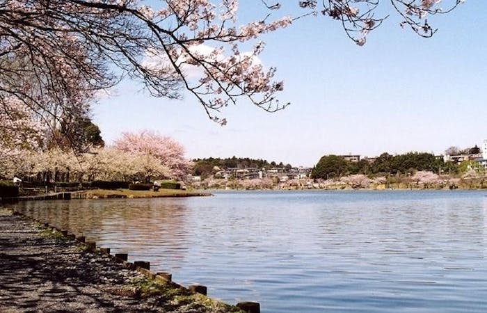 水戸 笠間お花見21 水戸 笠間 情緒あふれる桜景色を満喫 お花見おすすめ人気スポット10選 一休 Comレストラン 水戸 笠間お花見21 水戸 笠間 情緒あふれる桜景色を満喫 お花見おすすめ人気スポット10選 一休 Comレストラン