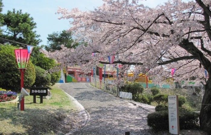 北茨城 奥久慈 日立お花見 北茨城 奥久慈 日立 情緒あふれる桜景色を満喫 お花見おすすめ人気スポット5選 一休 Comレストラン