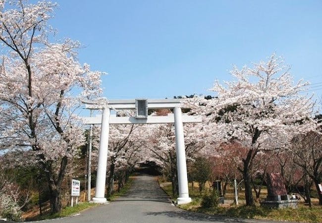 年 茨城お花見で行きたい桜名所 茨城お花見におすすめ人気スポット11選 一休 Comレストラン