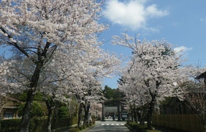 那須塩原お花見 那須塩原 情緒あふれる桜景色を満喫 お花見おすすめ人気スポット6選 一休 Comレストラン