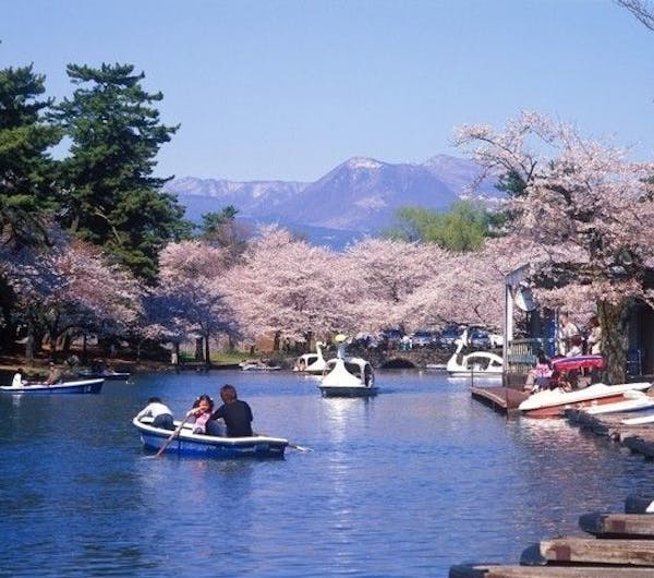 敷島公園 群馬 前橋市 人気お花見スポット 一休 Comレストラン