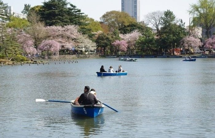 千葉 市原お花見21 千葉 市原 情緒あふれる桜景色を満喫 お花見おすすめ人気スポット14選 一休 Comレストラン 千葉 市原お花見21 千葉 市原 情緒あふれる桜景色を満喫 お花見おすすめ人気スポット14選 一休 Comレストラン