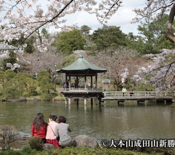 成田山公園 千葉 成田 人気お花見スポット 一休 Comレストラン 成田山公園 千葉 成田 人気お花見スポット 一休 Comレストラン